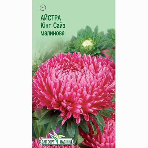 Айстра Кінг Сайз малинова Елітсорт зображення 1 артикул 96172