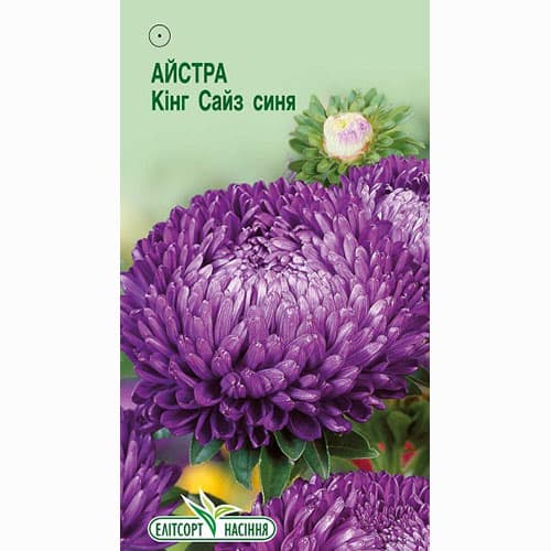 Астра Кинг Сайз синяя Элитсорт рисунок 1 артикул 95082