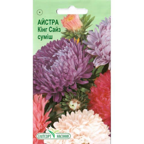 Айстра Кінг Сайз, суміш забарвлень Елітсорт зображення 1 артикул 95083
