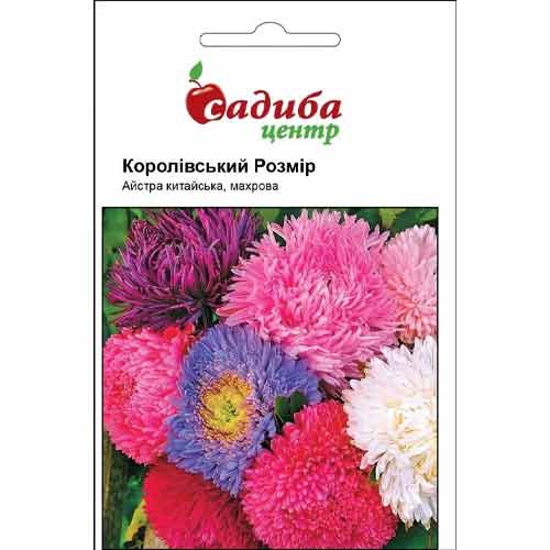 Айстра Королівський Розмір, суміш забарвлень Садиба центр зображення 1 артикул 87625