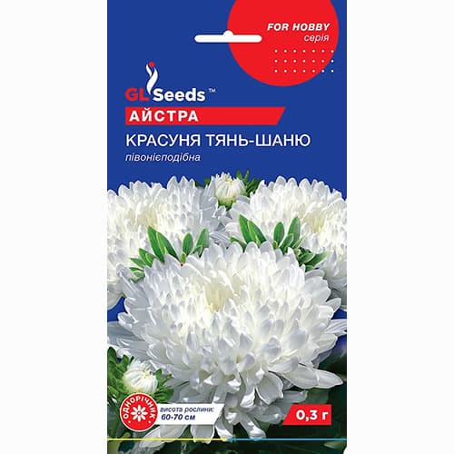 Астра Красотка Тянь-Шаня GL Seeds рисунок 1 артикул 99381