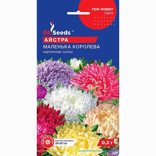 Айстра Маленька Королева GL Seeds зображення 1 артикул 99382