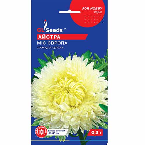 Астра Мисс Европа GL Seeds рисунок 1 артикул 85776