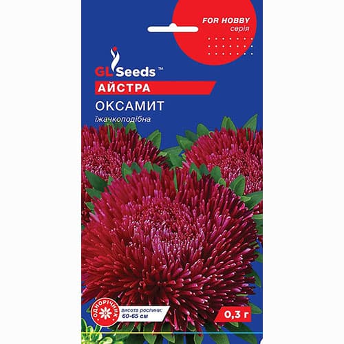 Астра Бархат GL Seeds рисунок 1 артикул 99385