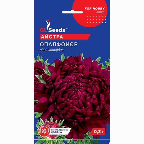 Астра Опал Фойер GL Seeds артикул фото 1 Астра Опал Фойер GL Seeds рисунок 1 артикул 99386