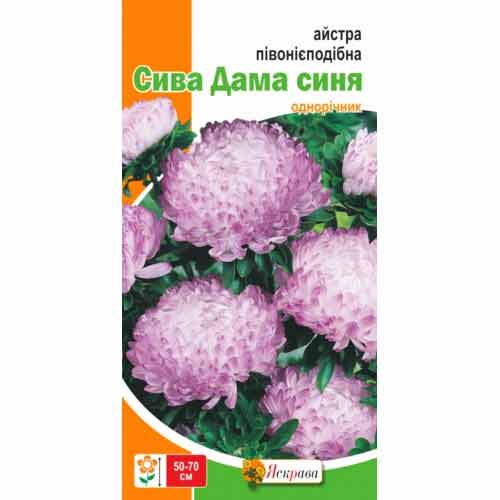 Астра пионовидная Сива Дама синяя Яскрава рисунок 1 артикул 99762