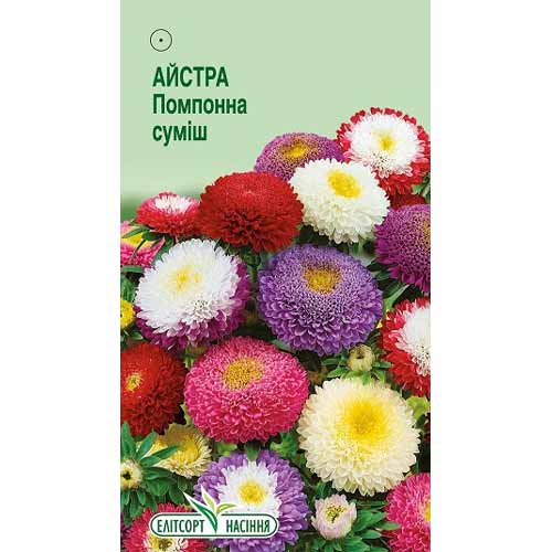 Астра Помпонная, смесь окрасок Элитсорт рисунок 1 артикул 85920