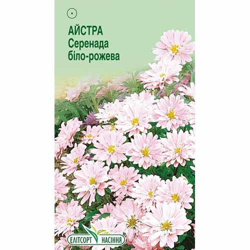 Айстра Серенада біло-рожева Елітсорт зображення 1 артикул 85922