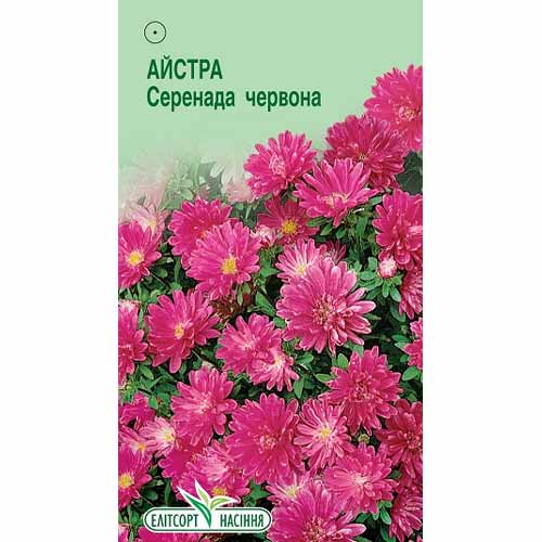 Астра Серенада красная Элитсорт рисунок 1 артикул 85923