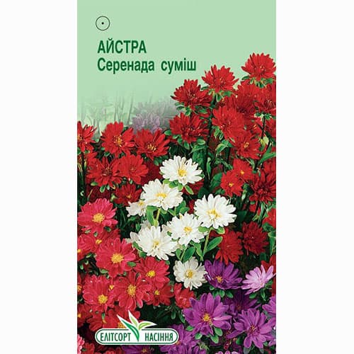 Астра Серенада, смесь окрасок Элитсорт рисунок 1 артикул 95086
