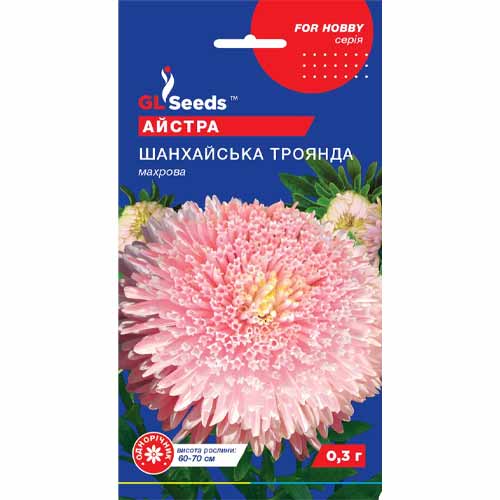 Астра Шанхайская роза GL Seeds рисунок 1 артикул 85785