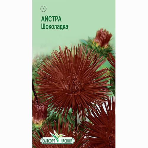 Астра Шоколадка Элитсорт рисунок 1 артикул 95089