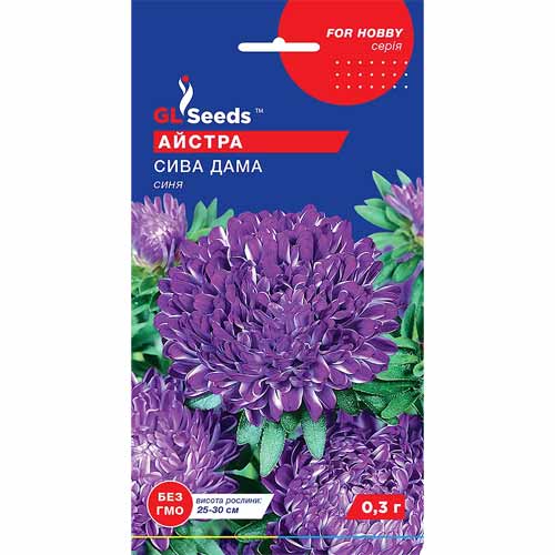 Астра Сива Дама синяя GL Seeds рисунок 1 артикул 85781