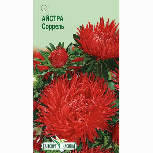 Астра Сорель Элитсорт рисунок 1 артикул 95087
