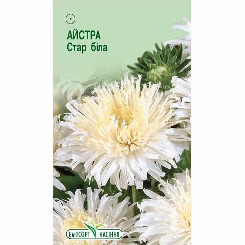 Астра Стар белая Элитсорт рисунок 1 артикул 85924