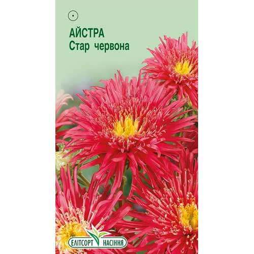 Астра Стар красная Элитсорт рисунок 1 артикул 85930
