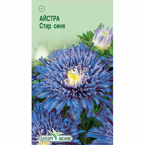 Айстра Стар синя Елітсорт зображення 1 артикул 85929