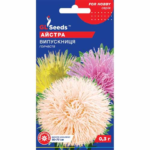 Астра Выпускница GL Seeds рисунок 1 артикул 85770