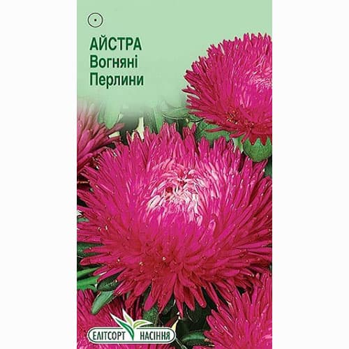 Астра Огненные жемчужины Элитсорт рисунок 1 артикул 95073