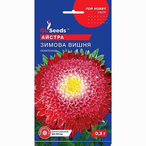 Астра Зимняя вишня GL Seeds артикул фото 1 Астра Зимняя вишня GL Seeds рисунок 1 артикул 99378