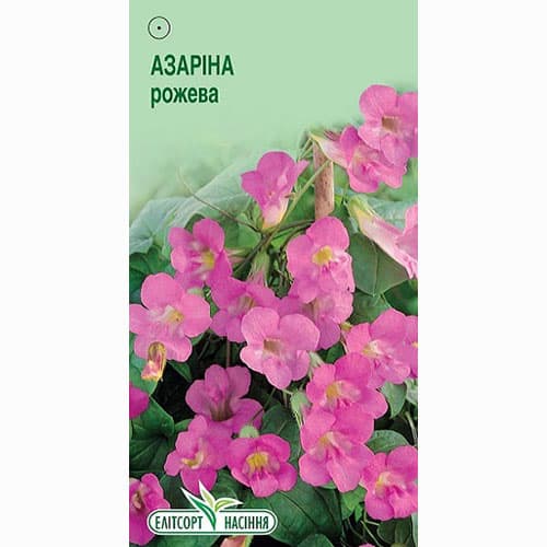 Азарина розовая Элитсорт рисунок 1 артикул 90539