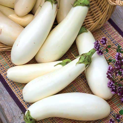 Баклажан Албино F1 рисунок 1 артикул 72067