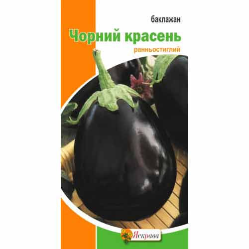 Баклажан Чорний Красень Яскрава зображення 1 артикул 99816