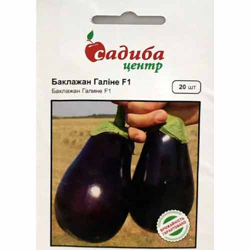 Баклажан Галіне F1 Садиба центр артикул фото 1 Баклажан Галіне F1 Садиба центр зображення 1 артикул 89109