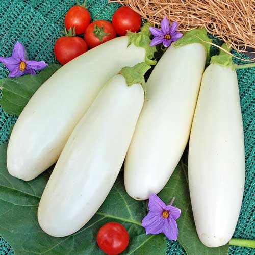 Баклажан Найніжніший F1, насіння зображення 2 артикул 65323