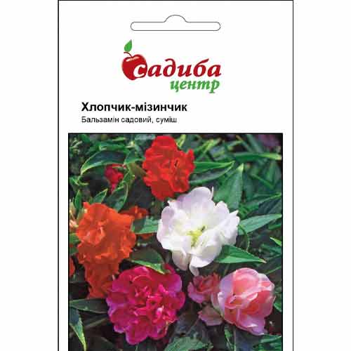 Бальзамин Мальчик с пальчик, смесь окрасок Садиба центр рисунок 1 артикул 89117
