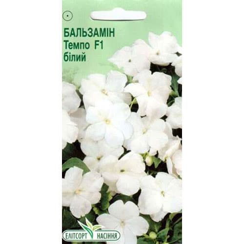 Бальзамін Темпо білий F1 Елітсорт артикул фото 1 Бальзамін Темпо білий F1 Елітсорт зображення 1 артикул 90541