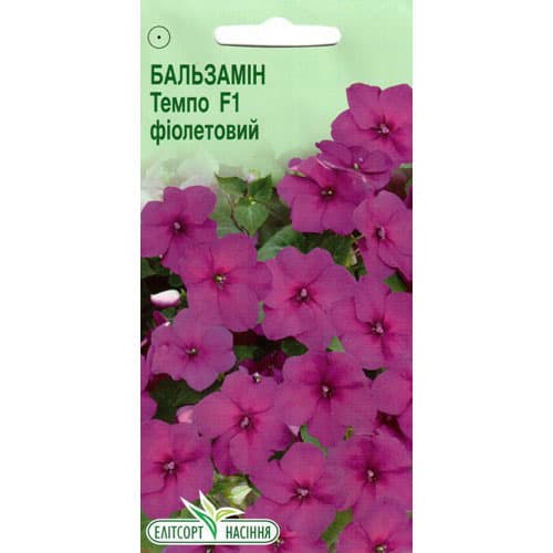 Бальзамин Темпо фиолетовый F1 Элитсорт рисунок 1 артикул 90548