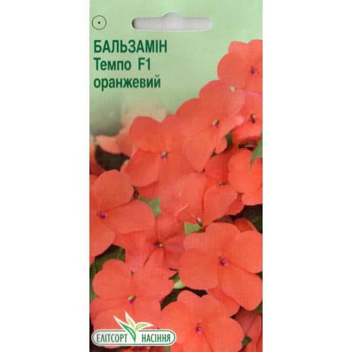 Бальзамин Темпо оранжевый F1 Элитсорт рисунок 1 артикул 90544