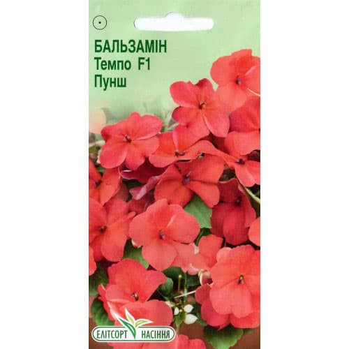 Бальзамін Темпо Пунш F1 Елітсорт зображення 1 артикул 90546