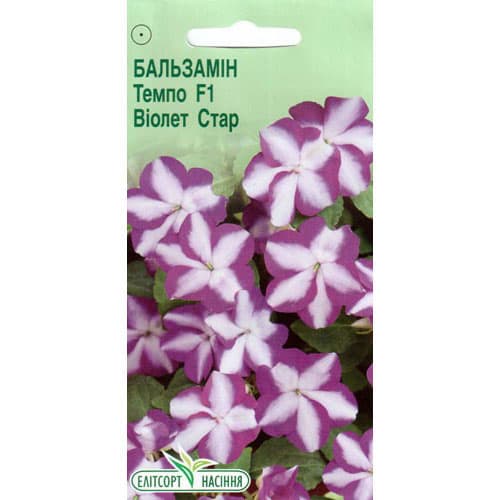 Бальзамин Виолет Стар F1 Элитсорт рисунок 1 артикул 90543