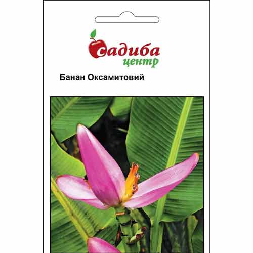 Банан оксамитовий Садиба центр зображення 1 артикул 89118