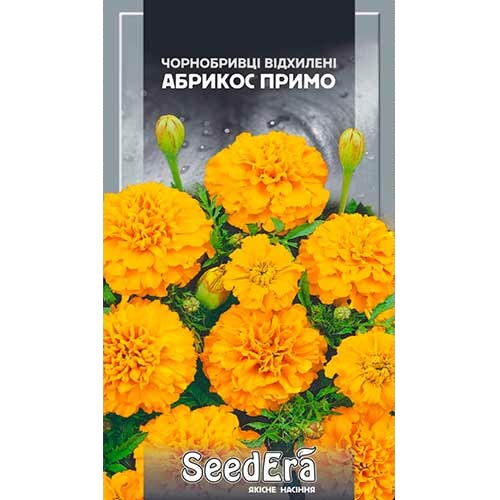 Чорнобривці Абрикос Примо Seedera зображення 1 артикул 77131
