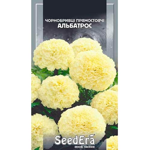 Бархатцы Альбатрос Seedera рисунок 1 артикул 77132