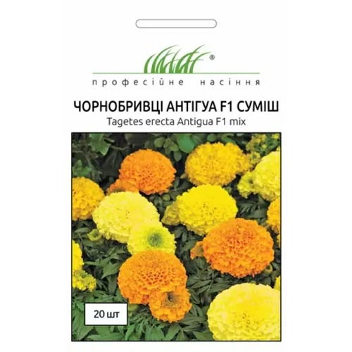 Бархатцы Антигуа F1, смесь окрасок Профессиональные семена рисунок 1 артикул 72678