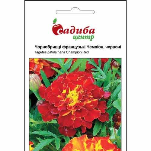 Чорнобривці французкі Чемпіон червоні Садиба центр зображення 1 артикул 89826