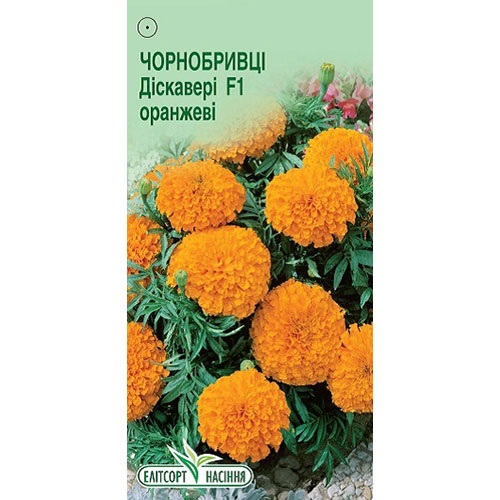 Бархатцы Дискавери оранжевые F1 Элитсорт рисунок 1 артикул 90619