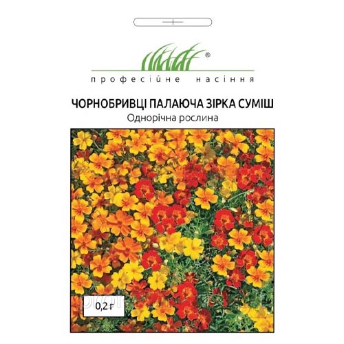 Чорнобривці Палаюча зірка, суміш забарвлень Професійне насіння зображення 1 артикул 72686