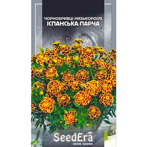 Чорнобривці Іспанська парча Seedera артикул фото 1 Чорнобривці Іспанська парча Seedera зображення 1 артикул 77134