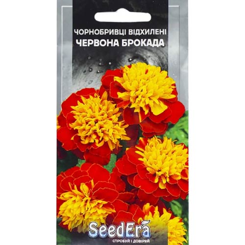 Бархатцы Брокада красная Seedera рисунок 1 артикул 77142