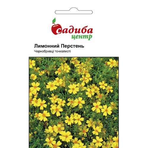 Чорнобривці тонколисті Лимонний Перстень Садиба центр зображення 1 артикул 72907