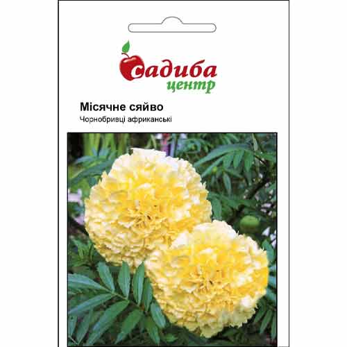 Бархатцы африканские Лунное Сияние Садиба центр рисунок 1 артикул 89822