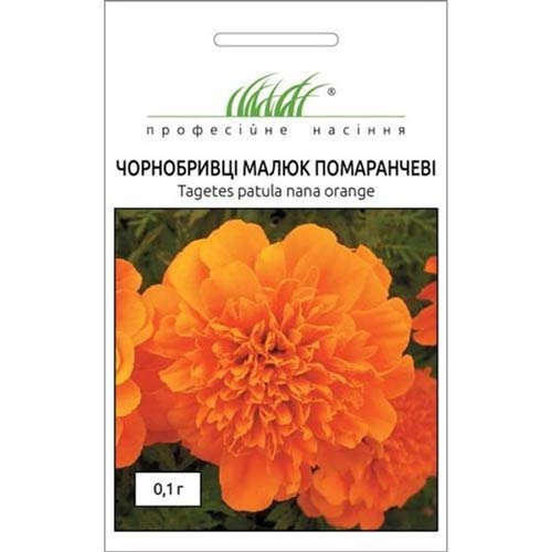 Бархатцы Малыш оранжевый Профессиональные семена рисунок 1 артикул 72684