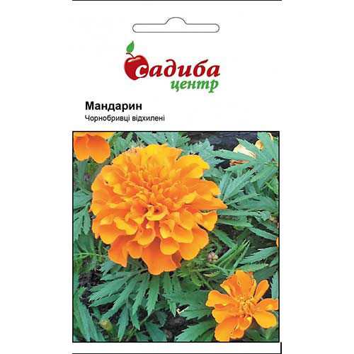 Бархатцы Мандарин Садыба центр рисунок 1 артикул 89821