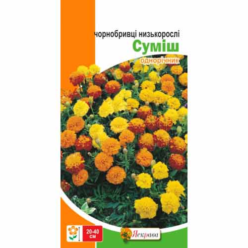 Чорнобривцi низькорослі, суміш забарвлень Яскрава артикул фото 1 Чорнобривцi низькорослі, суміш забарвлень Яскрава зображення 1 артикул 72696