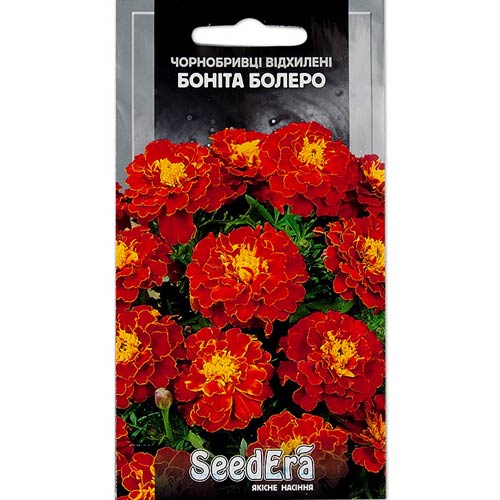 Бархатцы Бонита Болеро Seedera рисунок 1 артикул 66297